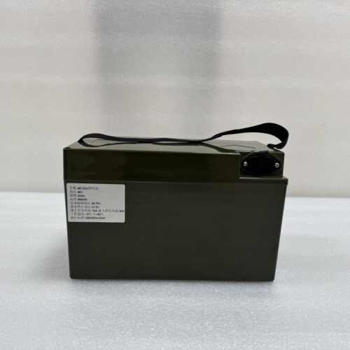 48V20Ah E-bike Lithium Battery - Electric Two Wheeler & Three Wheeler Lithium Battery Pack - botai.ftsxmorfeiy.com