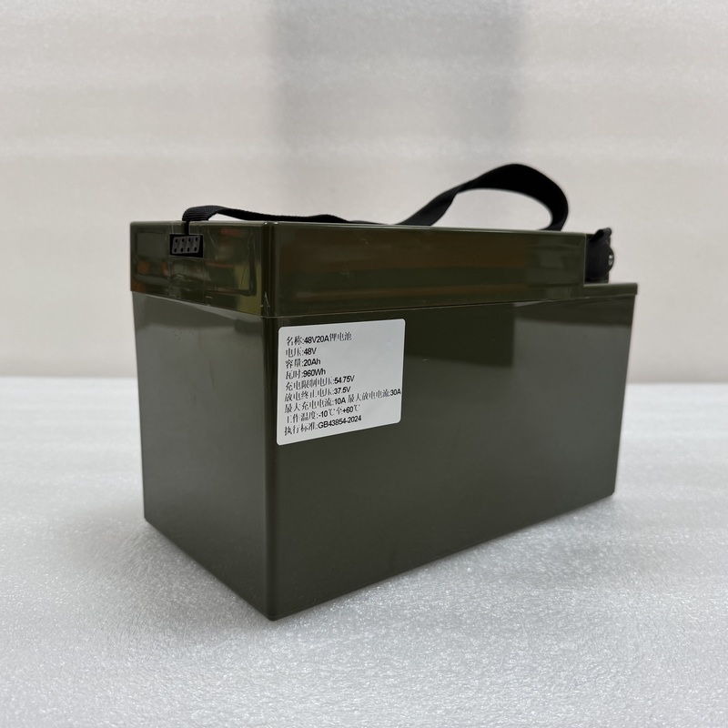 48V20Ah E-bike Lithium Battery - Electric Two Wheeler &am...