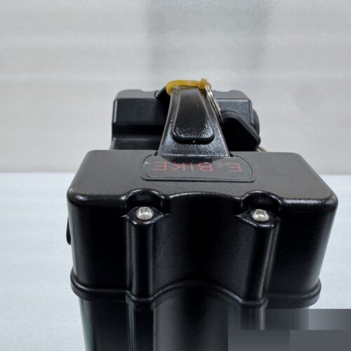 48V24Ah E-bike Lithium Battery - Electric Two Wheeler &am...